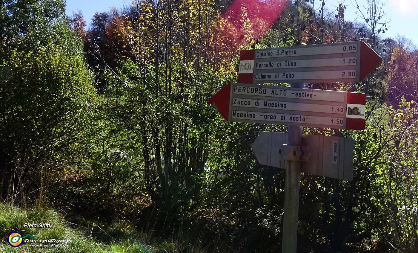 10 Prendo per il sentiero DOL 21-Percorso alto-estivo.JPG -                                